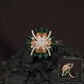 Floral Petal Crystal Finger Ring with Layered Bloom Design