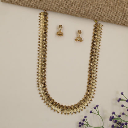 Lakshmi Coin Antique Long Haara Set with Temple Design