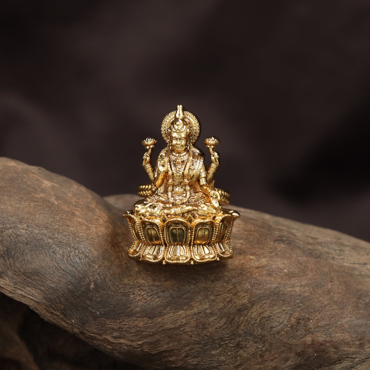 Grand Antique Finger Ring framed by Lakshmi Embossed Borders